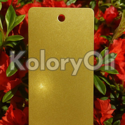 BONDED METALLIC GOLD QUALICOAT Farba Proszkowa Poliestrowa Gładki Mat KO-AZ0107