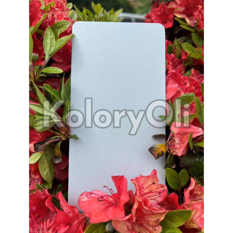 RAL 9006 QUALICOAT Farba Proszkowa Poliestrowa Kolor Szary Drobna Struktura Mat KO-L0221 RAL 9006 QUALICOAT Farba Proszkowa Poliestrowa Kolor Szary Drobna Struktura Mat KO-L0221