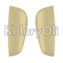 RAL 1000 Farba Proszkowa Poliestrowa Kolor Beżowo-Zielony Gładki Mat KO-U001 RAL 1000 Farba Proszkowa Poliestrowa Kolor Beżowo-Zielony Gładki Mat KO-U001