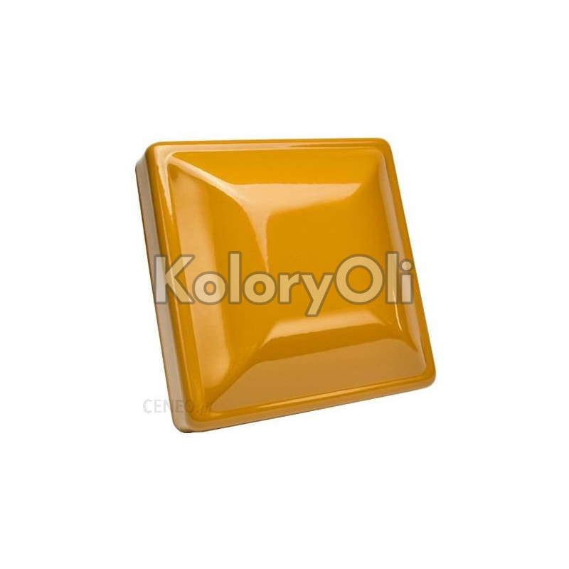 RAL 1006 Farba Proszkowa Poliestrowa Kolor Pomarańczowo-Miodowo Gładki Mat KO-U010 RAL 1006 Farba Proszkowa Poliestrowa Kolor Pomarańczowo-Miodowo Gładki Mat KO-U010