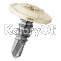 RAL 1015 Farba Proszkowa Poliestrowa Kolor Kremowo-Beżowy Gładki Półpołysk KO-U022 RAL 1015 Farba Proszkowa Poliestrowa Kolor Kremowo-Beżowy Gładki Półpołysk KO-U022