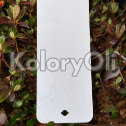 BIAŁA PERŁA Farba Proszkowa Poliestrowa Drobna Struktura Mat KO-N0055 BIAŁA PERŁA Farba Proszkowa Poliestrowa Drobna Struktura Mat KO-N0055