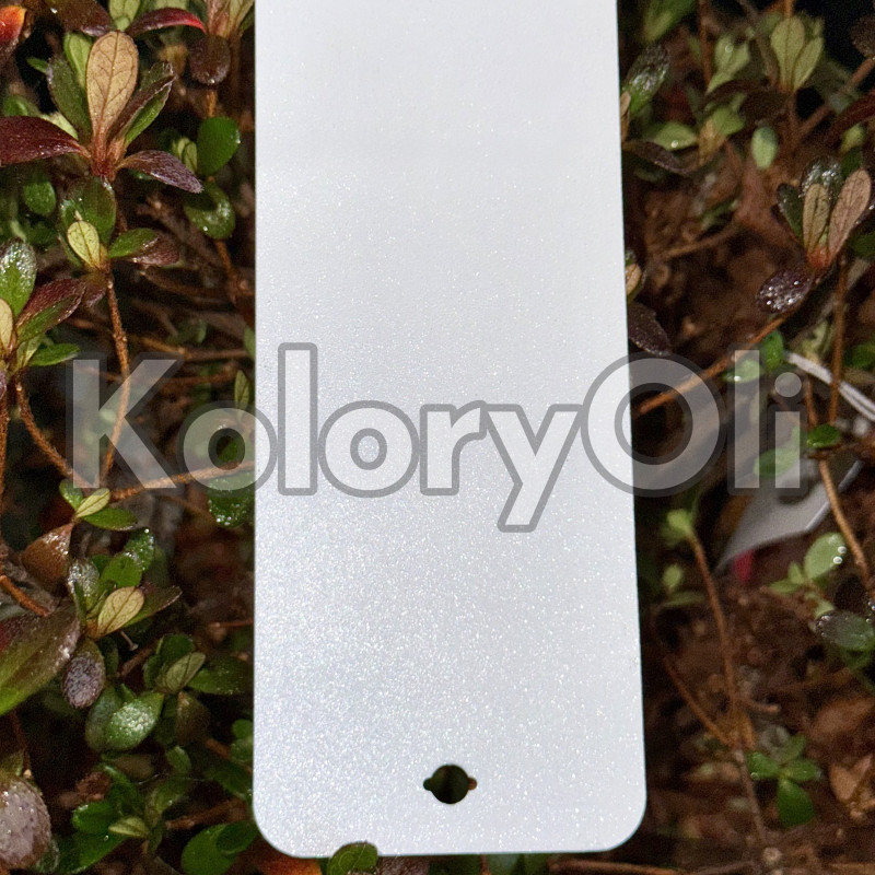 BIAŁA PERŁA Farba Proszkowa Poliestrowa Drobna Struktura Mat KO-N0055 BIAŁA PERŁA Farba Proszkowa Poliestrowa Drobna Struktura Mat KO-N0055