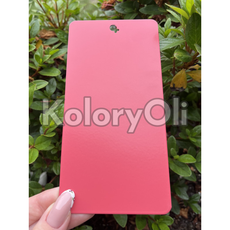 RAL 3017 Farba Proszkowa Poliestrowa Kolor Czerwony różowy Gładki Mat KO-U091