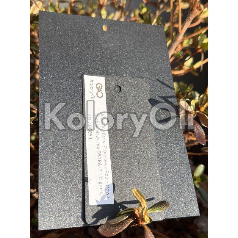 RAL 9005 Farba Proszkowa Poliestrowa Kolor Czarny Drobna Struktura Supermat (gloss 0-2) KO-A00051