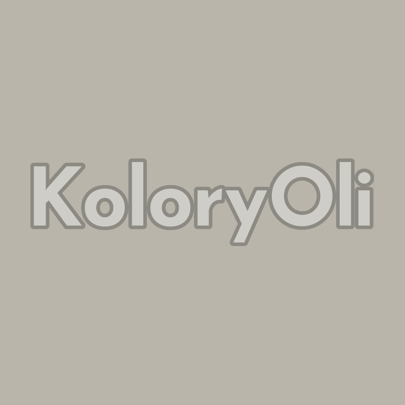 RAL 7044 QUALICOAT Farba Proszkowa Poliestrowa Kolor Szary Jedwabisty Mat KO-N0716 RAL 7044 QUALICOAT Farba Proszkowa Poliestrowa Kolor Szary Jedwabisty Mat KO-N0716