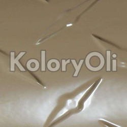 RAL 1019 QUALICOAT Farba Proszkowa Poliestrowa Kolor Beżowo-Szary Gładki Połysk KO-V040