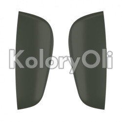 RAL 6007 QUALICOAT Farba Proszkowa Poliestrowa Kolor Oliwkowy Ciemny Drobna Struktura KO-V220