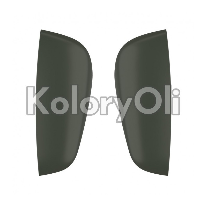 RAL 6007 QUALICOAT Farba Proszkowa Poliestrowa Kolor Oliwkowy Ciemny Drobna Struktura KO-V220