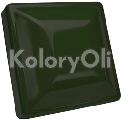 RAL 6009 QUALICOAT Farba Proszkowa Poliestrowa Kolor Zielony Jodłowy Drobna Struktura Mat KO-V224