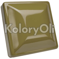 RAL 6013 QUALICOAT Farba Proszkowa Poliestrowa Kolor Zielony Trzcinowy Drobna Struktura KO-V236