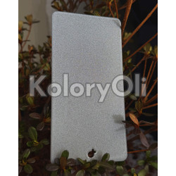 SZARO-SREBRNY bond QUALICOAT 2 Farba Proszkowa Poliestrowa Gładki Połysk KO-L0222 SZARO-SREBRNY bond QUALICOAT 2 Farba Proszkowa Poliestrowa Gładki Połysk KO-L0222