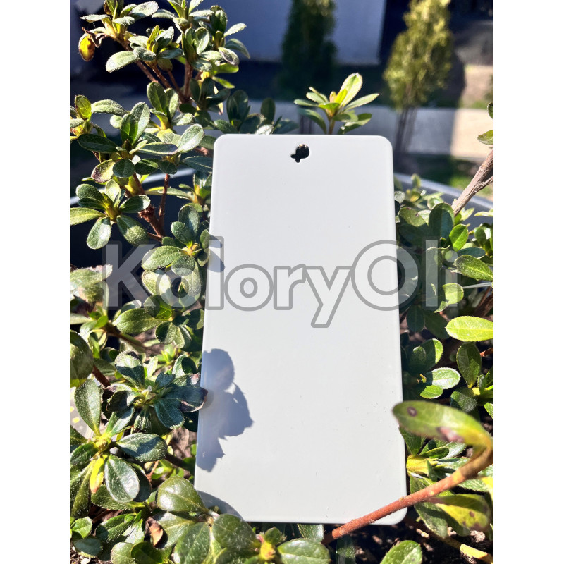 RAL 7038 QUALICOAT Farba Proszkowa Poliestrowa Kolor Szary Agatowy Gładki Połysk KO-V375