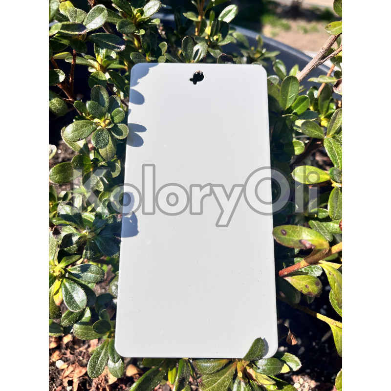 RAL 7038 QUALICOAT Farba Proszkowa Poliestrowa Kolor Szary Agatowy Gładki Połysk KO-V375