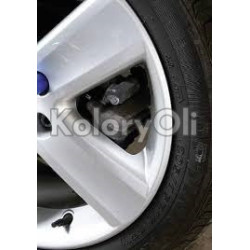 RAL 7035 QUALICOAT Farba Proszkowa Poliestrowa Kolor Szary Jasny Połysk KO-V366 RAL 7035 QUALICOAT Farba Proszkowa Poliestrowa Kolor Szary Jasny Połysk KO-V366