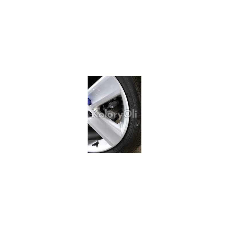 RAL 7035 QUALICOAT Farba Proszkowa Poliestrowa Kolor Szary Jasny Połysk KO-V366 RAL 7035 QUALICOAT Farba Proszkowa Poliestrowa Kolor Szary Jasny Połysk KO-V366