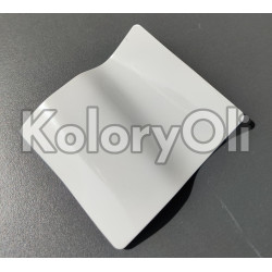 RAL 7035 QUALICOAT Farba Proszkowa Poliestrowa Kolor Szary Jasny Połysk KO-V366 RAL 7035 QUALICOAT Farba Proszkowa Poliestrowa Kolor Szary Jasny Połysk KO-V366