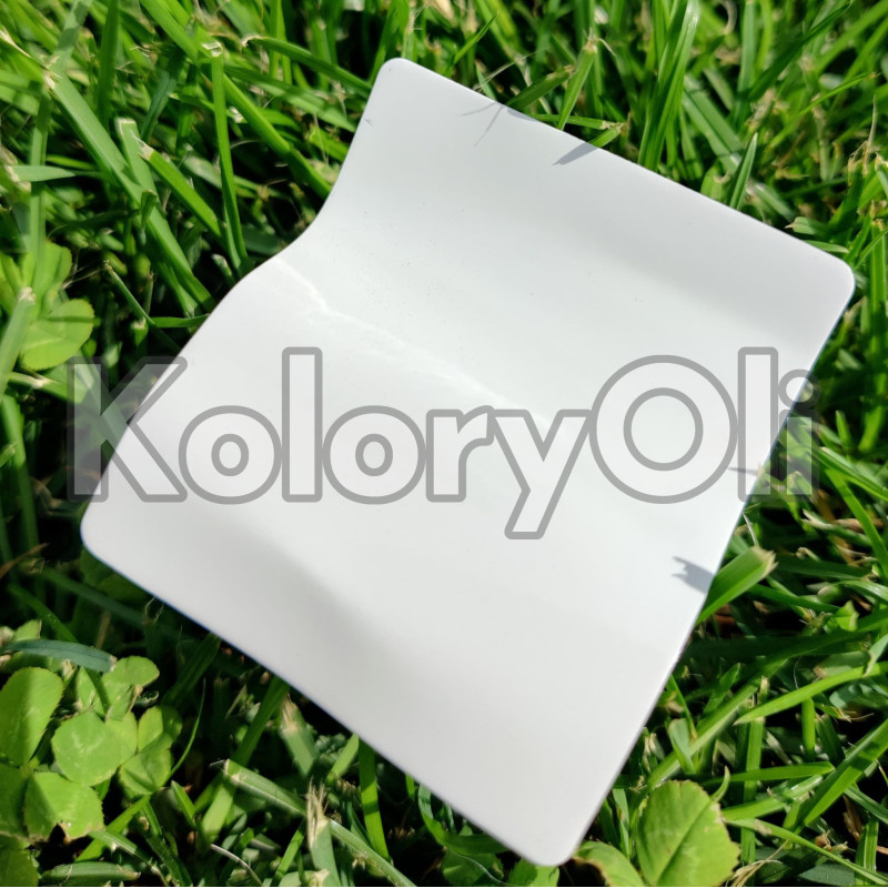 RAL 7035 QUALICOAT Farba Proszkowa Poliestrowa Kolor Szary Jasny Połysk KO-V366 RAL 7035 QUALICOAT Farba Proszkowa Poliestrowa Kolor Szary Jasny Połysk KO-V366