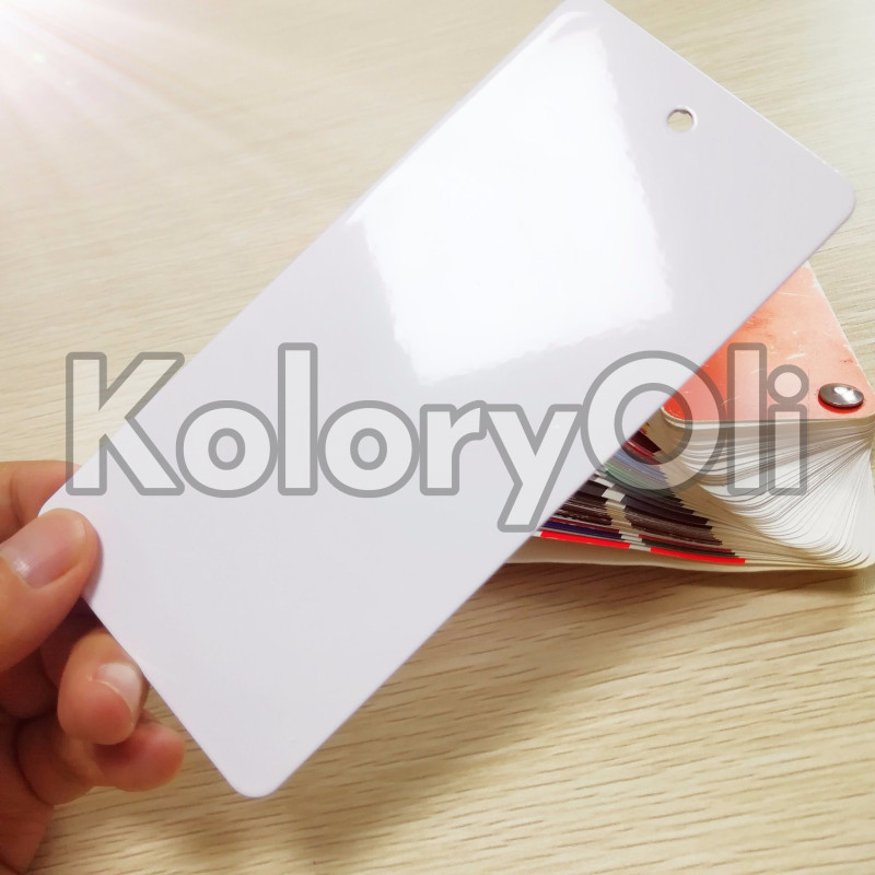 RAL 9016 Farba Proszkowa Poliestrowa Przemysłowa Kolor Biały Beskidzki Gładki Połysk KO-V499