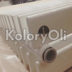 RAL 9010 QUALICOAT Farba Proszkowa Poliestrowa Kolor Biały Gładki Połysk KO-V495 RAL 9010 QUALICOAT Farba Proszkowa Poliestrowa Kolor Biały Gładki Połysk KO-V495