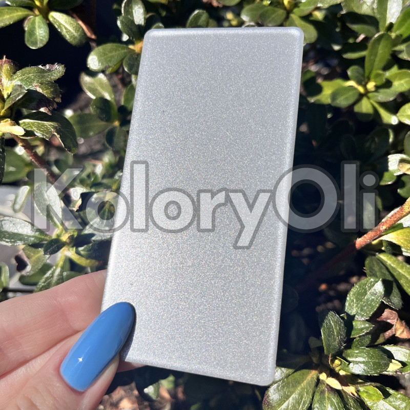 RAL 9007 Srebro z brokatem Farba Proszkowa Poliestrowa Gładki Połysk KO-V489