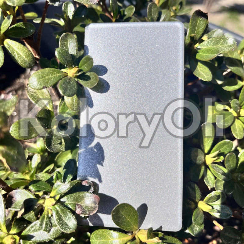 RAL 9007 Srebro z brokatem Farba Proszkowa Poliestrowa Gładki Połysk KO-V489