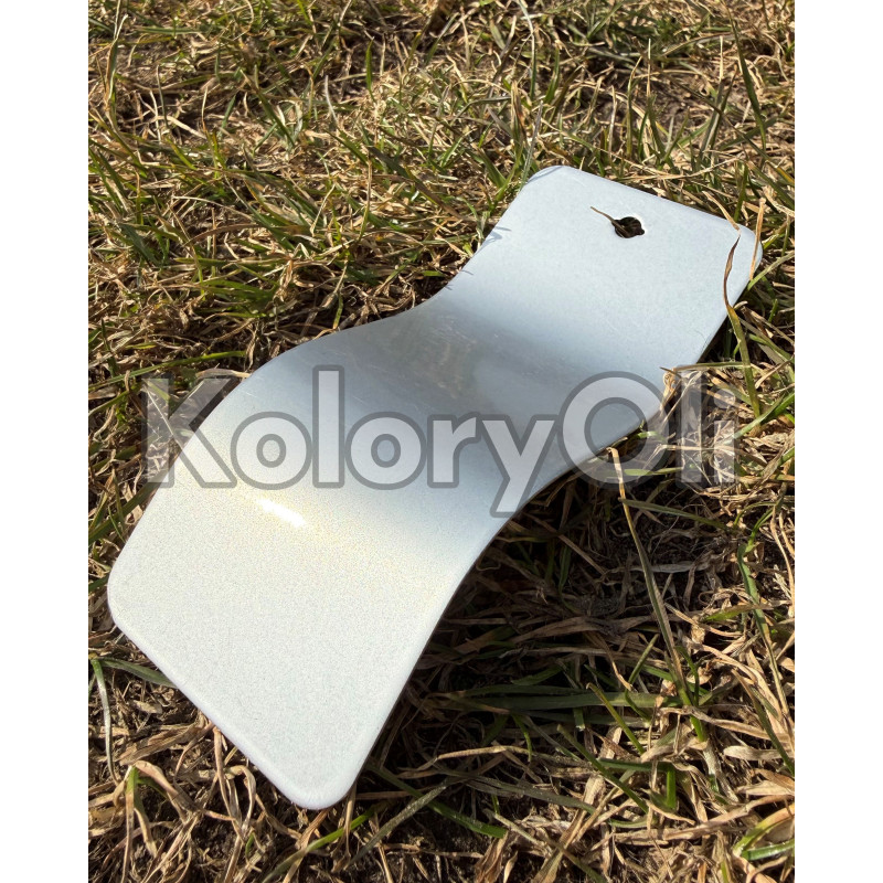 SILVER 80 Jasny Srebrny Perłowy Farba Proszkowa Poliestrowa Gładki Połysk KO-N0141