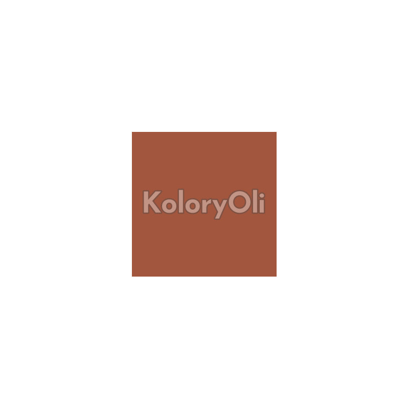 NCS S 4040-Y70R Farba Proszkowa Poliestrowa Gładki Mat KO-A00813 produkcja