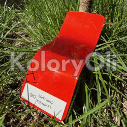EFEKT ILUZJI System Dwuwarstwowy Kolor Czerwony Farba Proszkowa Poliestrowa Połysk KO-N0557