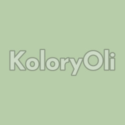 RAL/D2 DESIGN 130 80 20 Farba Proszkowa Poliestrowa Kolor Zielony Gładki Mat KO-A00824- produkcja