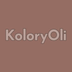 RAL/D2 DESIGN 040 50 20 Farba Proszkowa Poliestrowa Kolor Brązowy Gładki Mat KO-A00826- produkcja