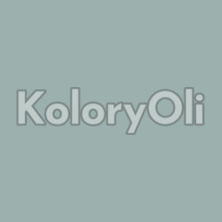 NCS S 3010-B70G Farba Proszkowa Poliestrowa Drobna Struktura Mat KO-A00829-produkcja