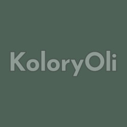 RAL/D2 DESIGN 160 40 10 Farba Proszkowa Poliestrowa Drobna Struktura Mat KO-A00832- produkcja