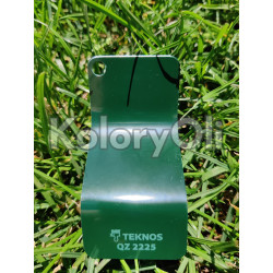 RAL 6009 Farba Proszkowa Poliestrowa Kolor Zielony Jodłowy Gładki Połysk KO-I132