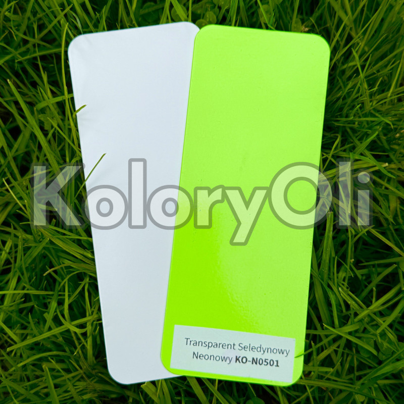 ZESTAW FLUO Transparent Seledynowy Neonowy KO-N0501+ Podkład biały wyrównujący KO-N0134 ZESTAW FLUO Transparent Seledynowy Neonowy KO-N0501+ Podkład biały wyrównujący KO-N0134