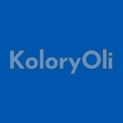 NCS S 2565-R80B Farba Proszkowa Poliestrowa Gładki Połysk KO-A00839-PRODUKCJA