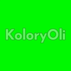 Zielony Neonowy RAL 6038 Farba Proszkowa Epoksydowo-Poliestrowa Gruba Struktura Połysk KO-A00727 PRODUKCJA