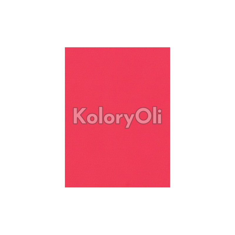 Transparent Różowy Neonowy Farba Proszkowa Poliestrowa Gładki Połysk KO-N0570 Transparent Różowy Neonowy Farba Proszkowa Poliestrowa Gładki Połysk KO-N0570