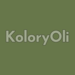 RAL 6025 Farba Proszkowa Poliestrowa Kolor Zieleń Paproci Gładki Mat KO-U200