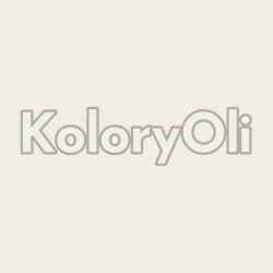 ESD ANTYSTATYCZNA Półprzewodząca RAL 9010 Farba Proszkowa Poliestrowa Kolor Srebrny Gładki Mat KO-A00844-PRODUKCJA