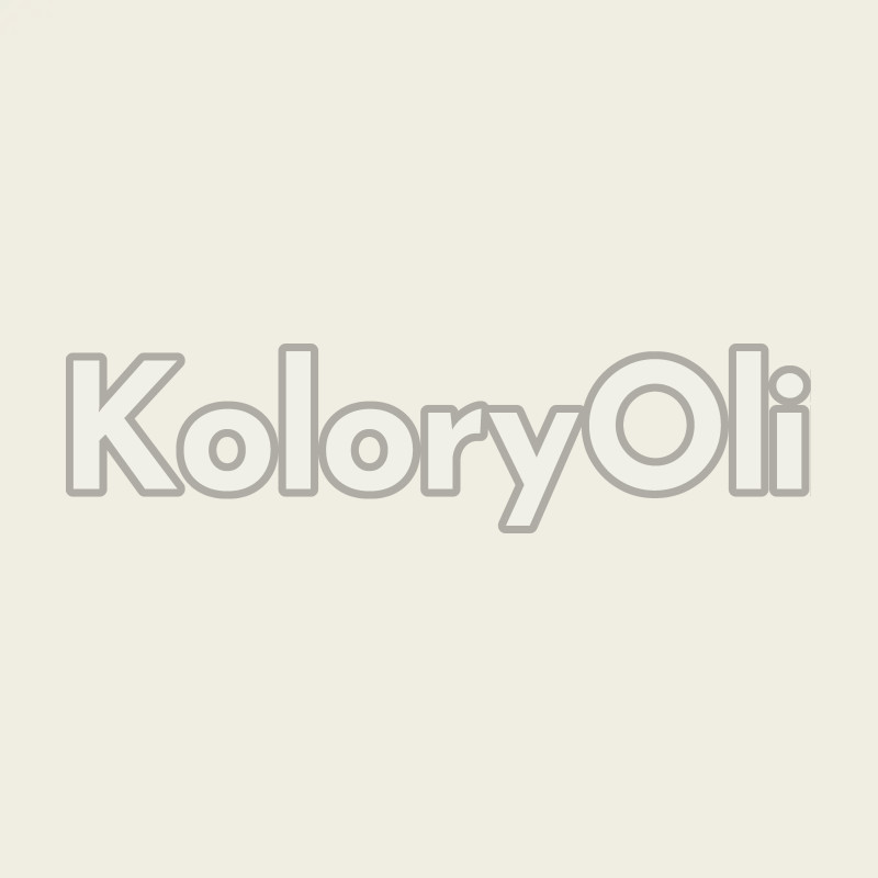 ESD ANTYSTATYCZNA Półprzewodząca RAL 9010 Farba Proszkowa Poliestrowa Kolor Srebrny Gładki Mat KO-A00844-PRODUKCJA ESD ANTYSTATYCZNA Półprzewodząca RAL 9010 Farba Proszkowa Poliestrowa Kolor Srebrny Gładki Mat KO-A00844-PRODUKCJA