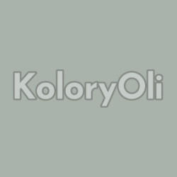 NCS S 3005-G20Y Farba Proszkowa Poliestrowa Drobna Struktura Mat KO-A00850-produkcja