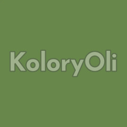 RAL 6017 QUALICOAT Farba Proszkowa Poliestrowa Kolor Zielony Gładki Mat KO-V243