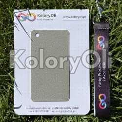 EFEKT ZMARSZCZKI RAL 9007 Farba Proszkowa Poliuretanowa Kolor Srebrny Gruba Struktura Mat KO-A00857-produkcja