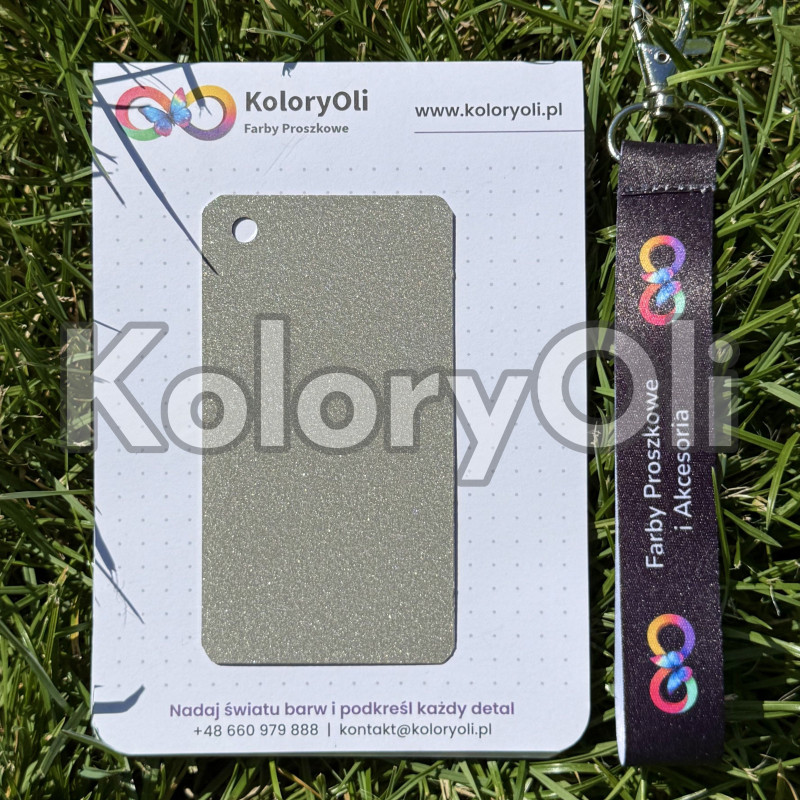 EFEKT ZMARSZCZKI RAL 9007 Farba Proszkowa Poliuretanowa Kolor Srebrny Gruba Struktura Mat KO-A00857-produkcja