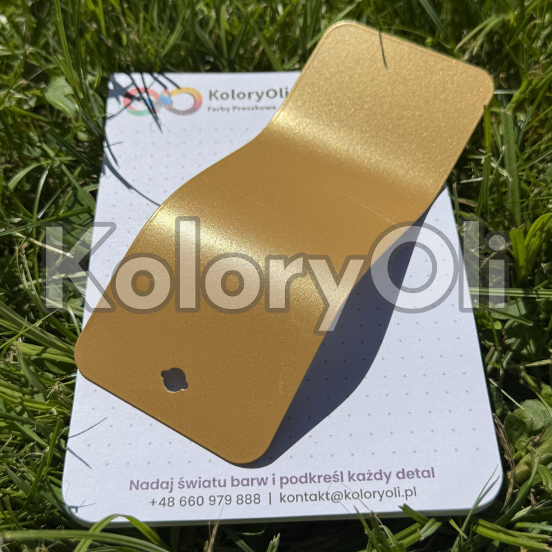 ZŁOTY NR 5 Farba Proszkowa Poliestrowa Kolor Złoty Gładki Mat KO-N0524