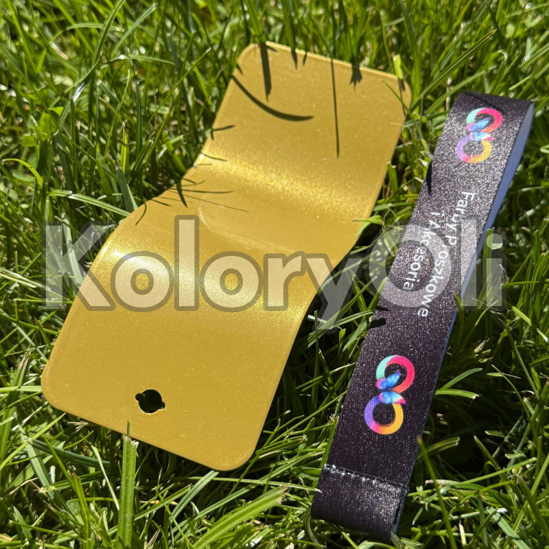 GOLD 0215 Farba Proszkowa Poliestrowa Kolor Złoty Żółty Gładki Połysk KO-N0069 GOLD 0215 Farba Proszkowa Poliestrowa Kolor Złoty Żółty Gładki Połysk KO-N0069