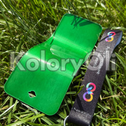 Transparent Zielony Farba Proszkowa Poliestrowa Wysoki Połysk KO-N0001
