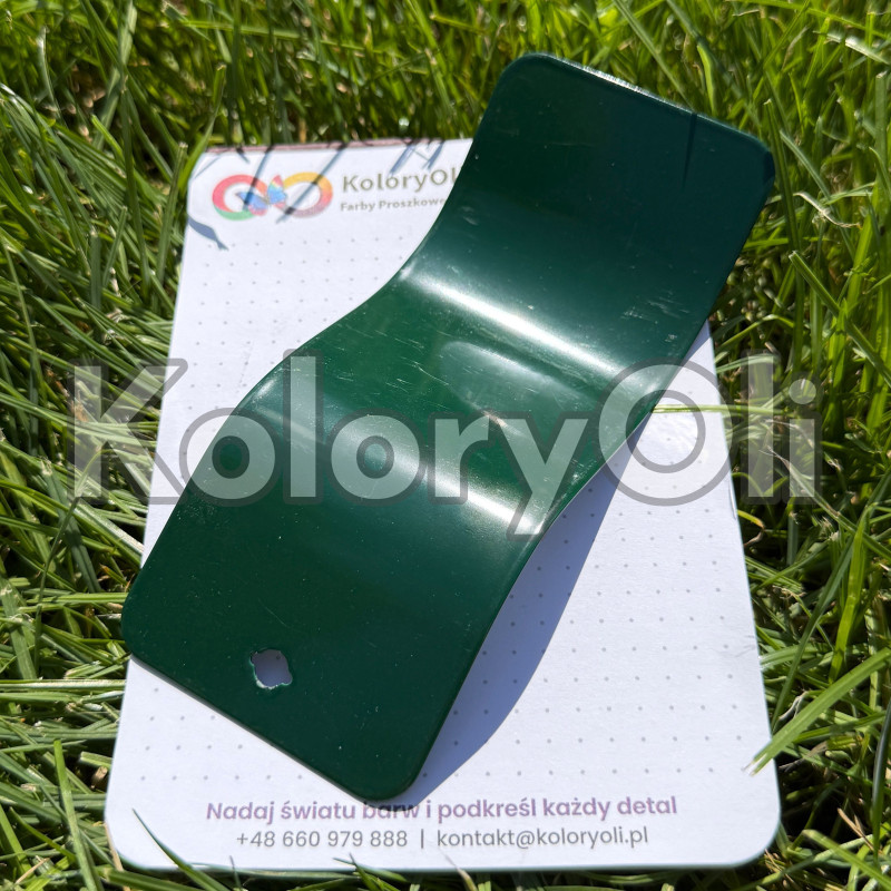 RAL 6005 QUALICOAT Farba Proszkowa Poliestrowa Kolor Zielony Mchowy Gładki Półpołysk KO-N0589 RAL 6005 QUALICOAT Farba Proszkowa Poliestrowa Kolor Zielony Mchowy Gładki Półpołysk KO-N0589