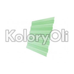 RAL 6019 Farba Proszkowa Poliestrowa Kolor Zielony Pastelowy Gładki Mat KO-U193